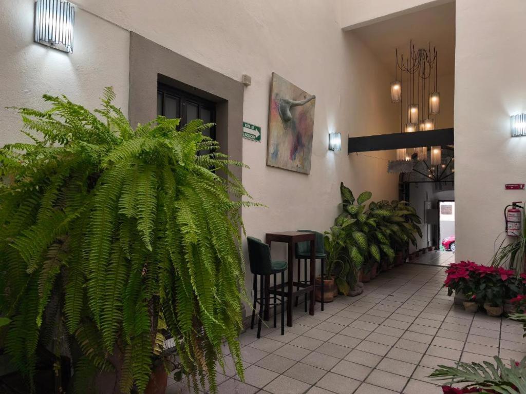 Hotel Boutique Casa Morena photo 3