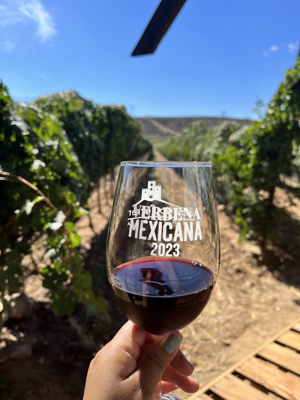 Vinicola Castillo Ferrer photo 2