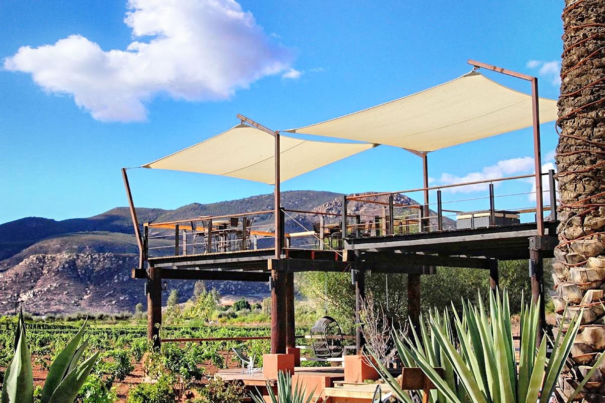 Entre Viñedos photo 1