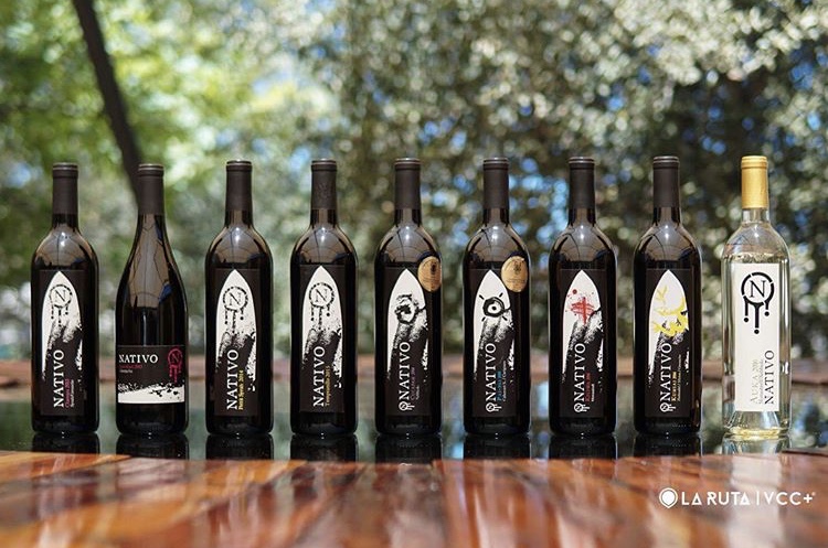 Nativo Vinicola photo 1