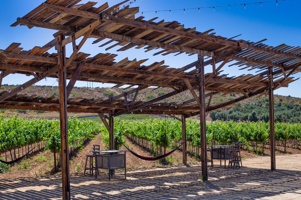 Vinicola Castillo Ferrer photo 1