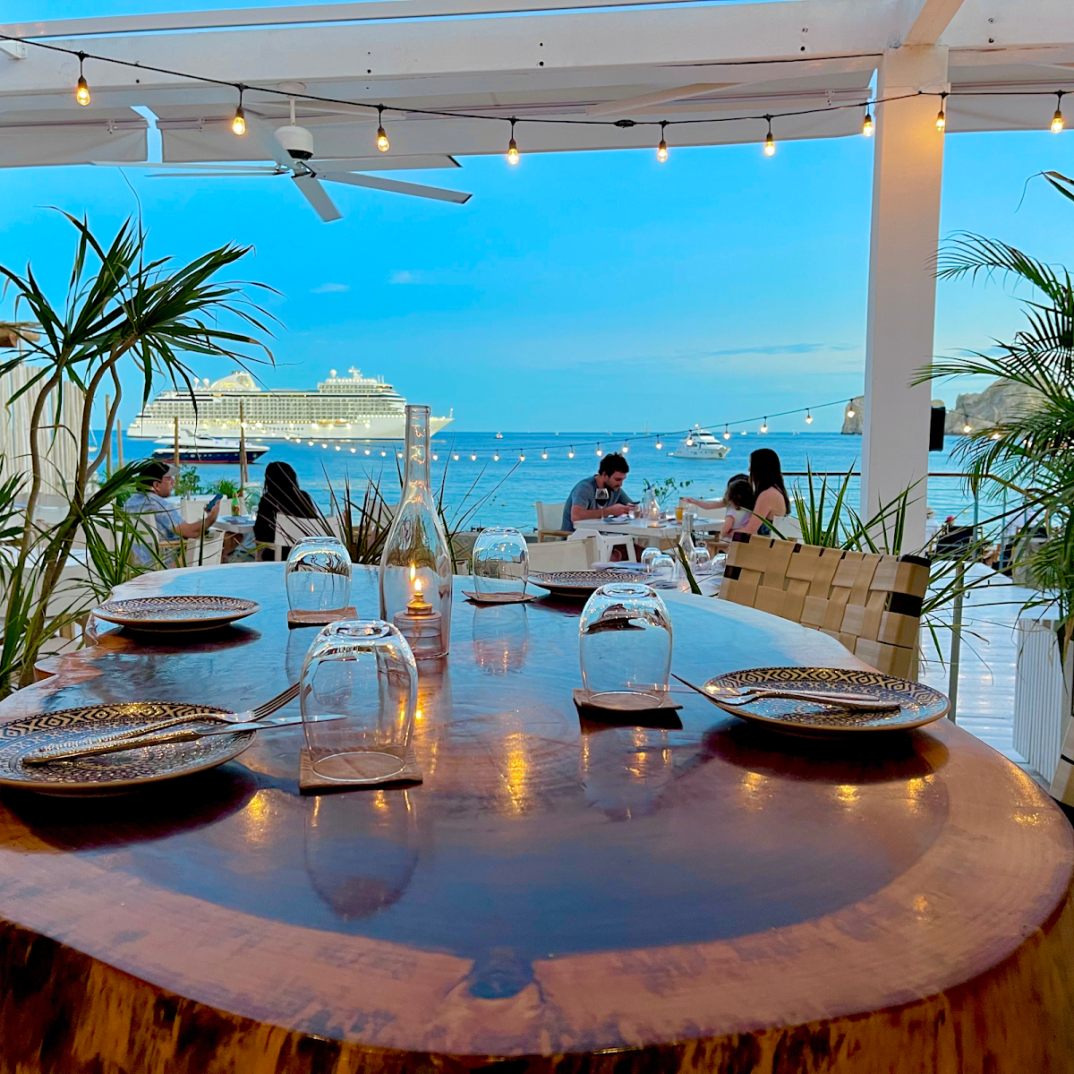 Hotel Las Rosas & Spa photo 3