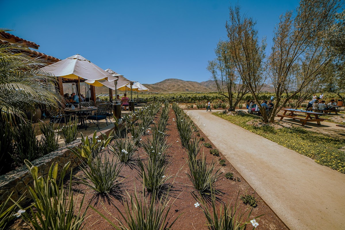 El Cielo Bodega Vinícola photo 2