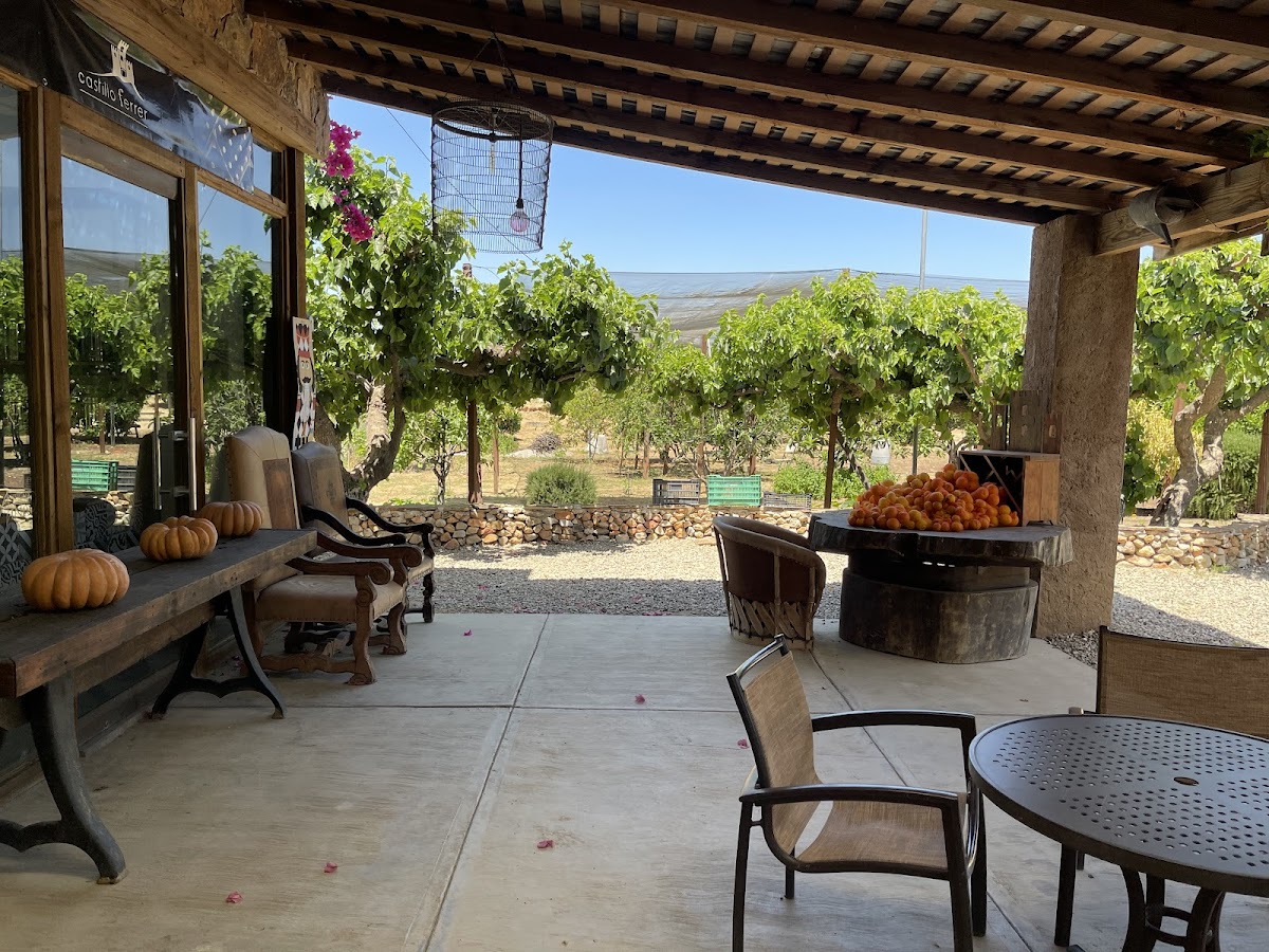 Vinicola Castillo Ferrer photo 3