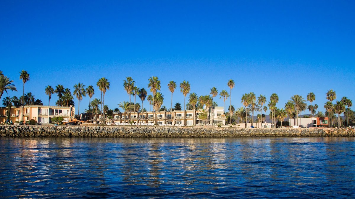 Estero Beach Hotel/Resort photo 3