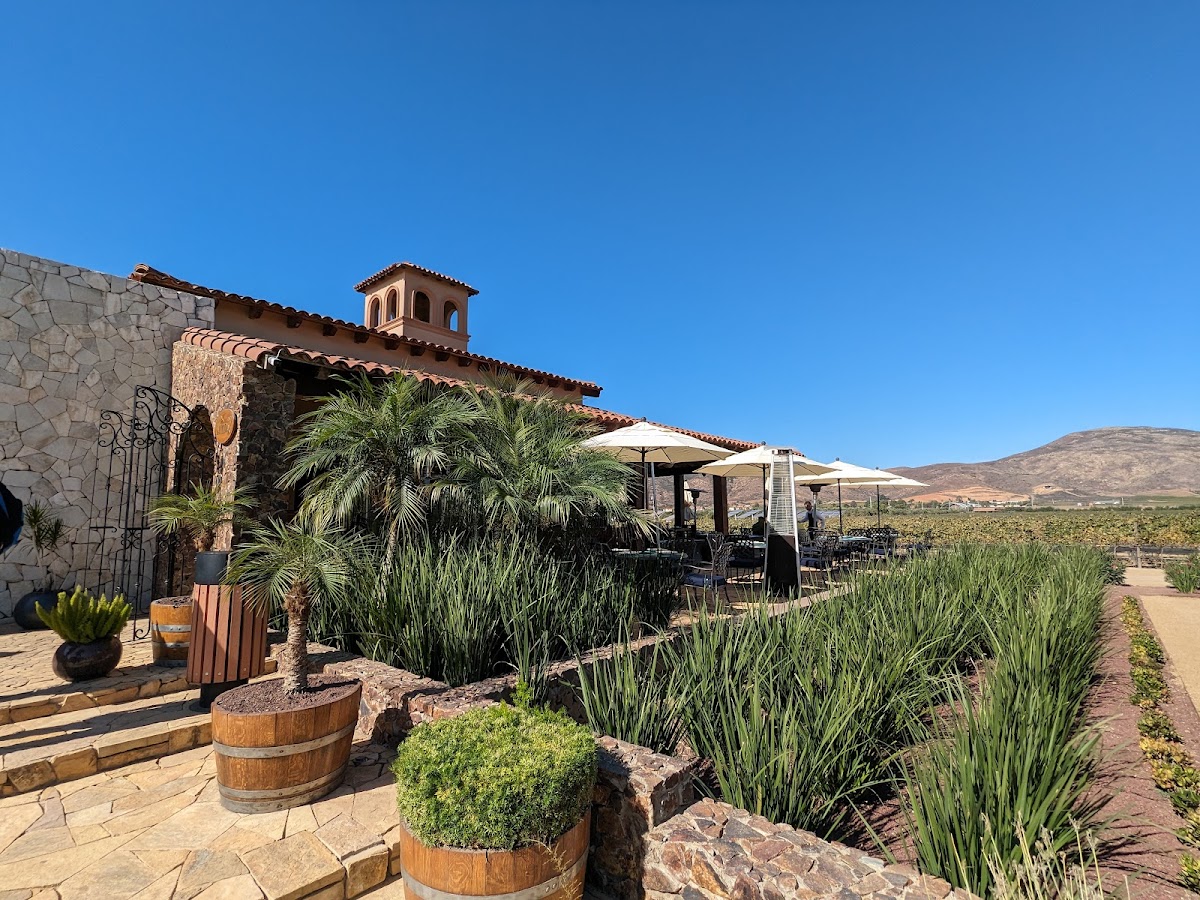 El Cielo Bodega Vinícola photo 3