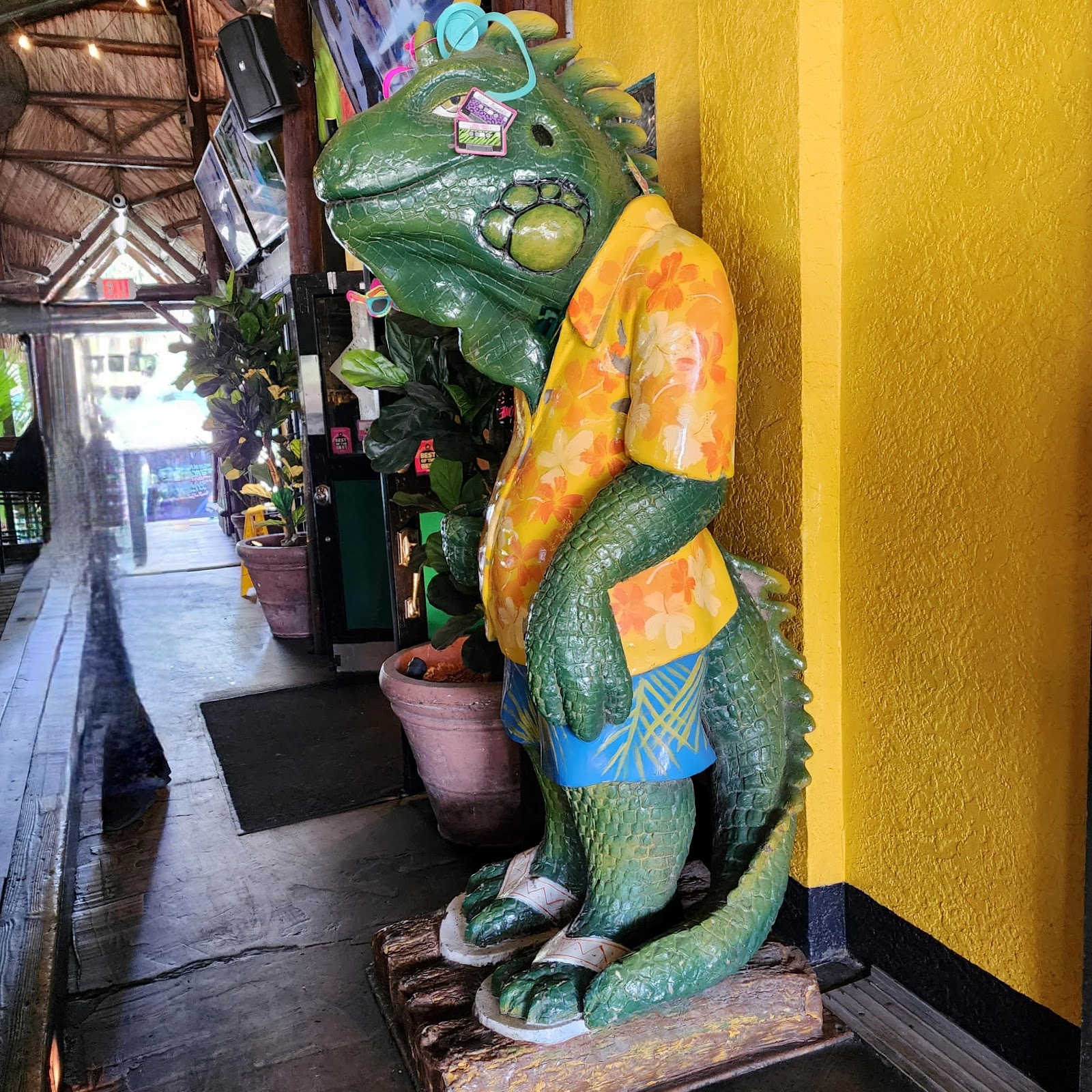 Green Iguana Bar & Grill Best Happy Hour