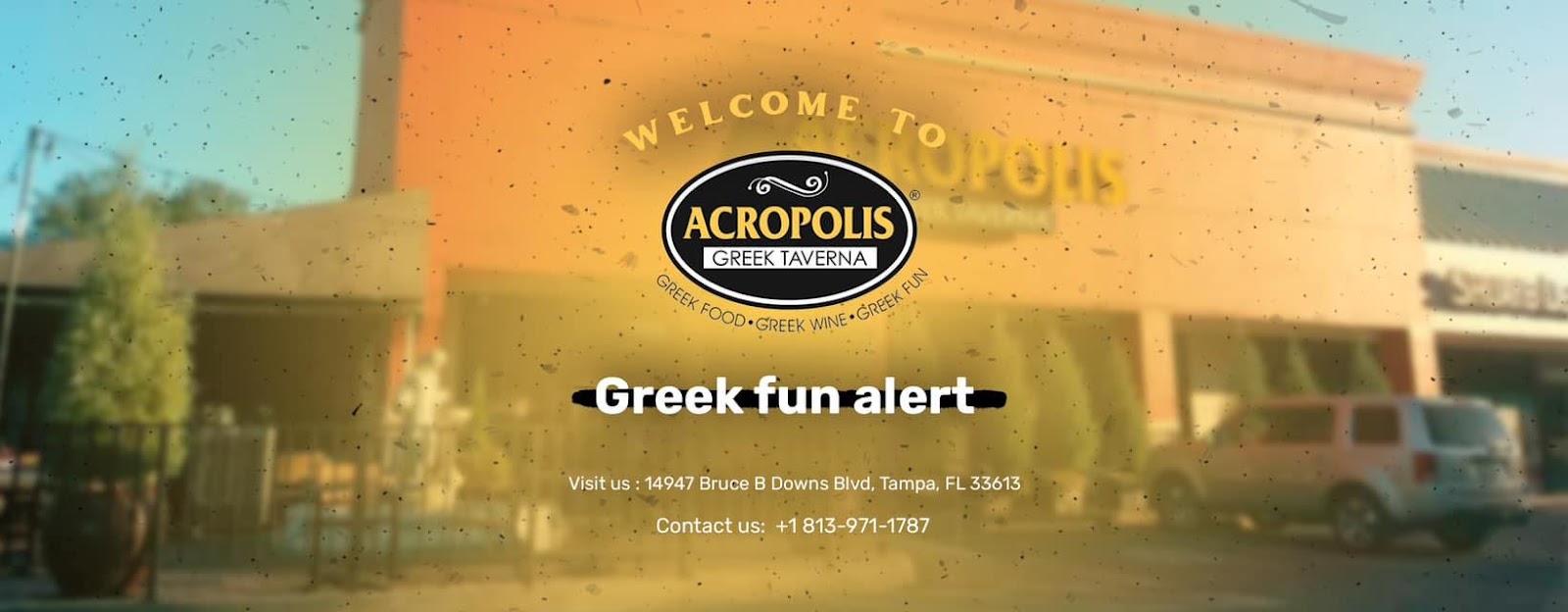 Acropolis Greek Taverna - New Tampa Best Happy Hour