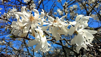 Karen Searle, M.S.W., A Place To Heal Counselling Services photo 1