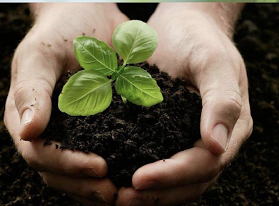 Mah's Counselling Services photo 1