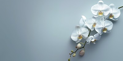 Joanna L Cox Counselling & Consulting photo 1