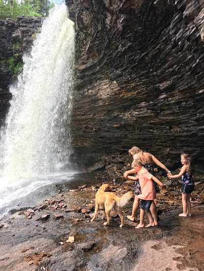 Healing Roots Ecotherapy photo 1