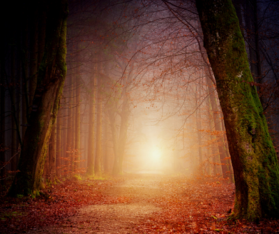 Sacred Moon Therapies photo 1