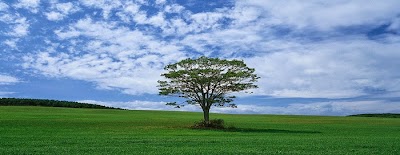Surrey Delta Family Counselling photo 1
