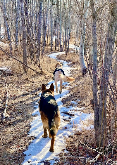 White Pine Counselling Centre photo 1