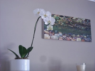 Bella Counselling Services photo 1