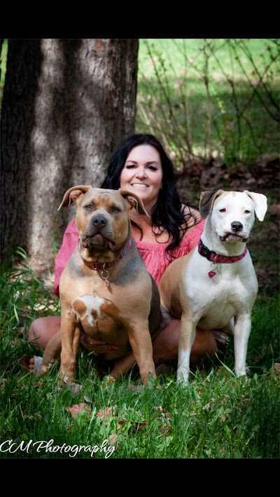 Serenity Counselling and Wellness photo 1