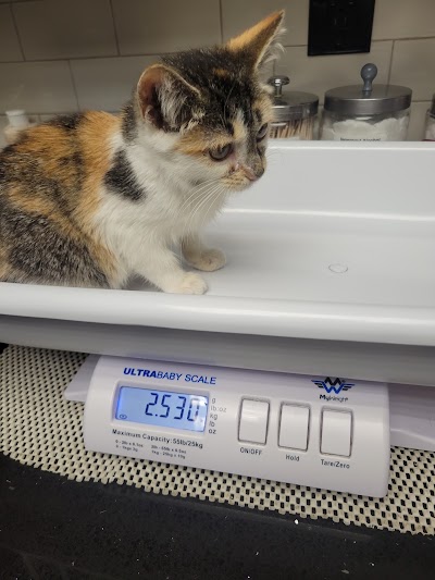 Animal Clinic & Hospital of Jersey City