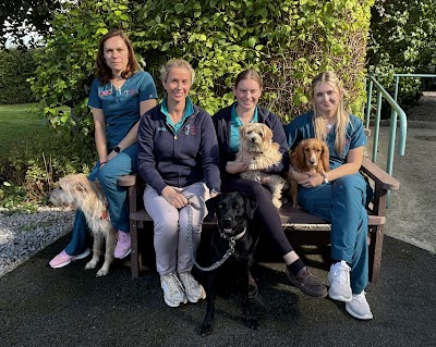 Station House Vets Small Animal & Equine Veterinary Practice