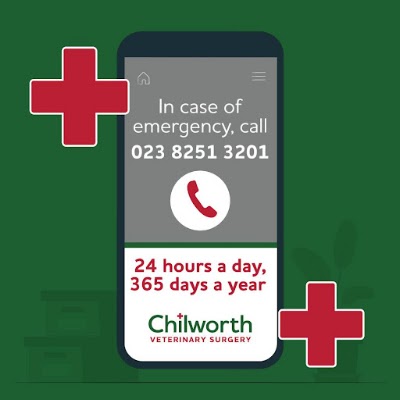Chilworth Veterinary Surgery