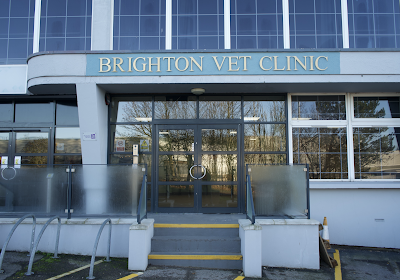 Brighton Vet Clinic