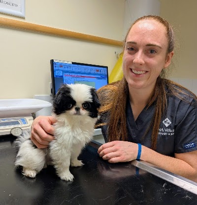 Croydon Veterinary Surgery