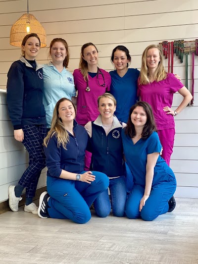 The London Vet Ltd