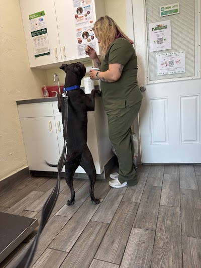 Bridgewater Veterinary Hospital (Bensalem)