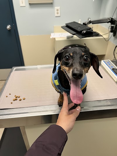 Fraser Heights Animal Hospital