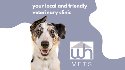 Well House Vets Crowborough