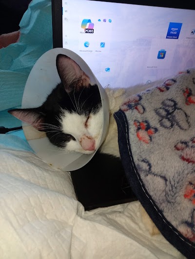 Croydon PDSA Pet Hospital