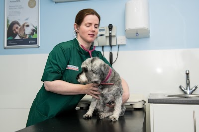 Goddard Veterinary Group, New Addington