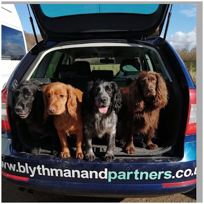 Blythman & Partners - Westerhope