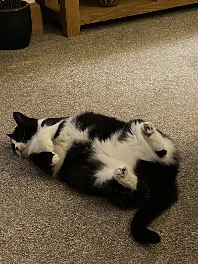 Southfields Veterinary Surgery