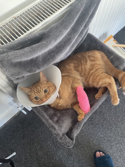 Vets for Pets - Southend Victoria