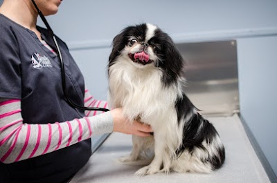 Airport Pet Emergency Clinic