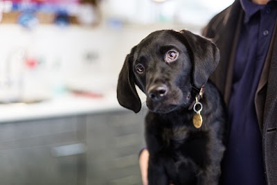 Trinity Vets, Maidstone