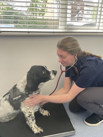 Culverden Vets Crowborough