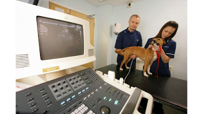 Westway Veterinary Hospital