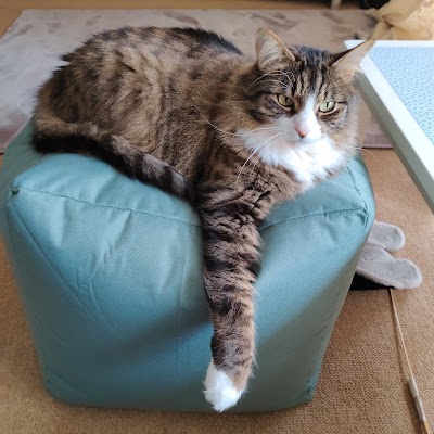 Blue Cross Pet Care Clinic