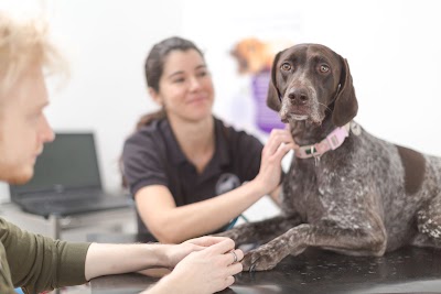 Kingswood Vets - Woking