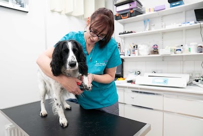 Pennard Vets Allington