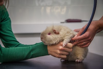 The Veterinary Clinic - Great Barr