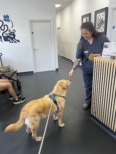 Petals Vets