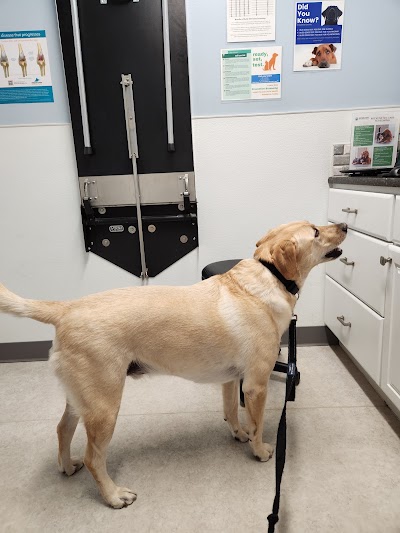Horizon Veterinary Clinic