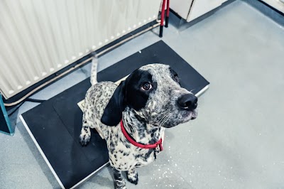 Young Veterinary Partnership