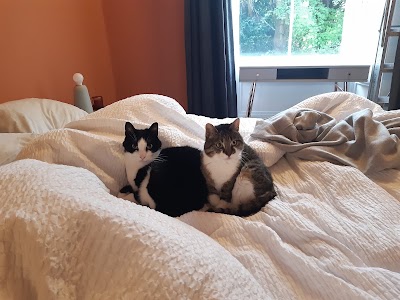 Happy Pets Veterinary Surgery
