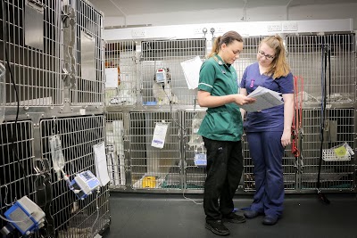 Westway Veterinary Group, Wideopen