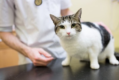 Ashleigh Veterinary Centre, Chorlton Road
