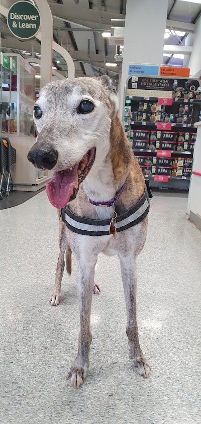 Vets for Pets - Chelmsford
